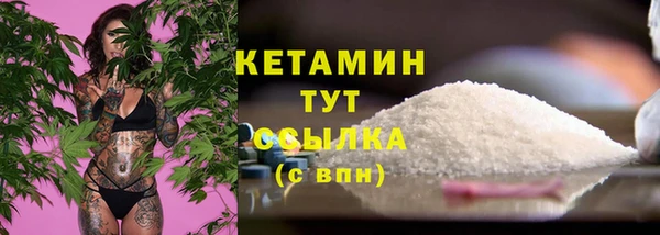 хмурый Гусь-Хрустальный