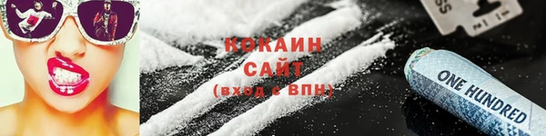 гашик Дмитров
