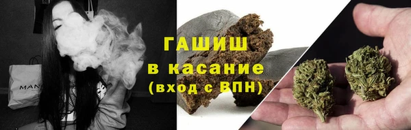 гашик Дмитров