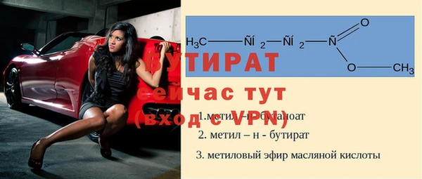 гашик Дмитров