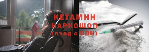 хмурый Гусь-Хрустальный