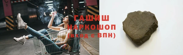 гашик Дмитров