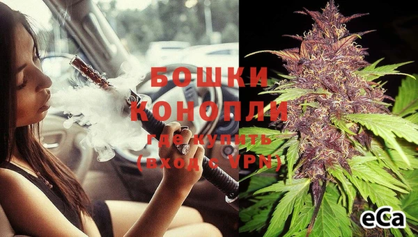 хмурый Гусь-Хрустальный