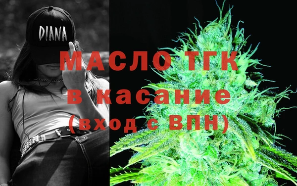 хмурый Гусь-Хрустальный