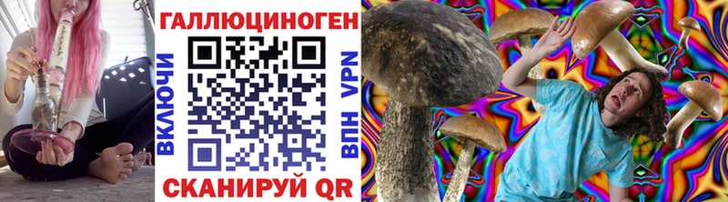 купить закладку  Буйнакск  kraken tor  Псилоцибиновые грибы MAGIC MUSHROOMS 